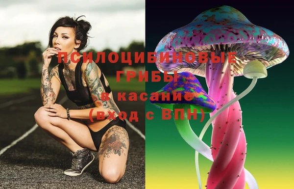 герыч Осташков
