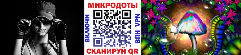 Псилоцибиновые грибы Psilocybine cubensis  Эртиль 